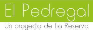 Loteo el Pedregal